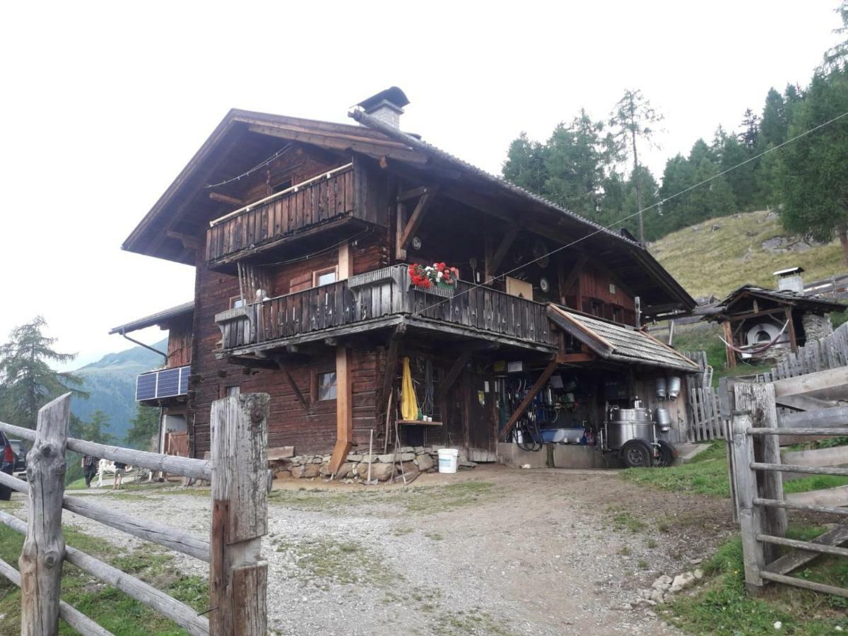 Апартаменты Unterniggleralm Thurn Экстерьер фото