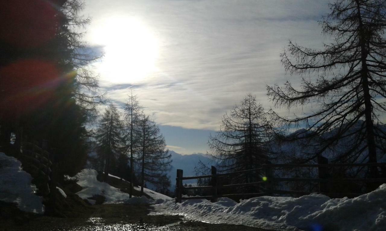Апартаменты Unterniggleralm Thurn Экстерьер фото