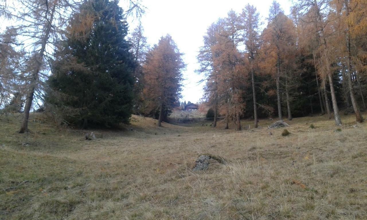 Апартаменты Unterniggleralm Thurn Экстерьер фото